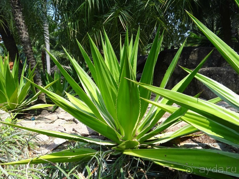 Красота - без ограничений 