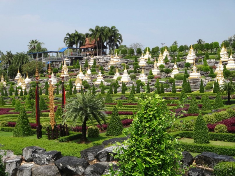 Красота - без ограничений 