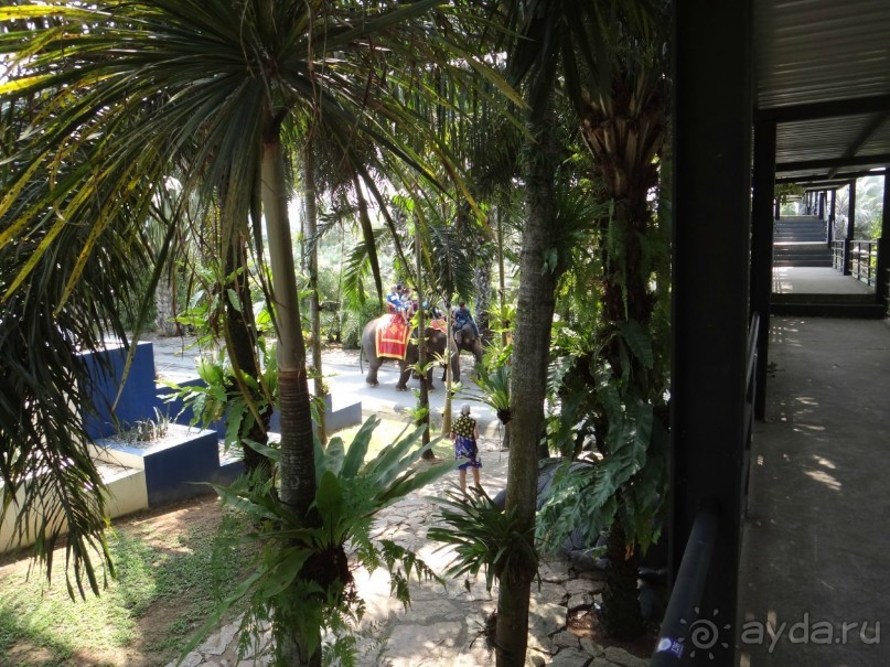 Красота - без ограничений 