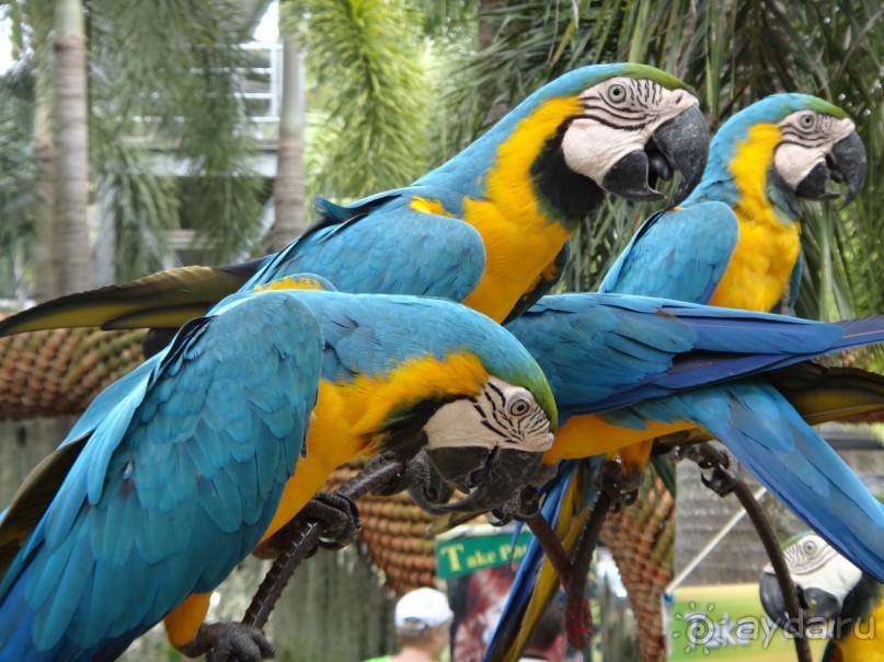 Красота - без ограничений 