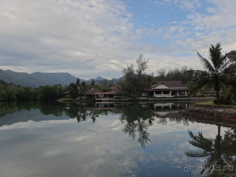 Потерянные надежды