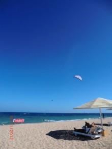 Оазис в пустыне