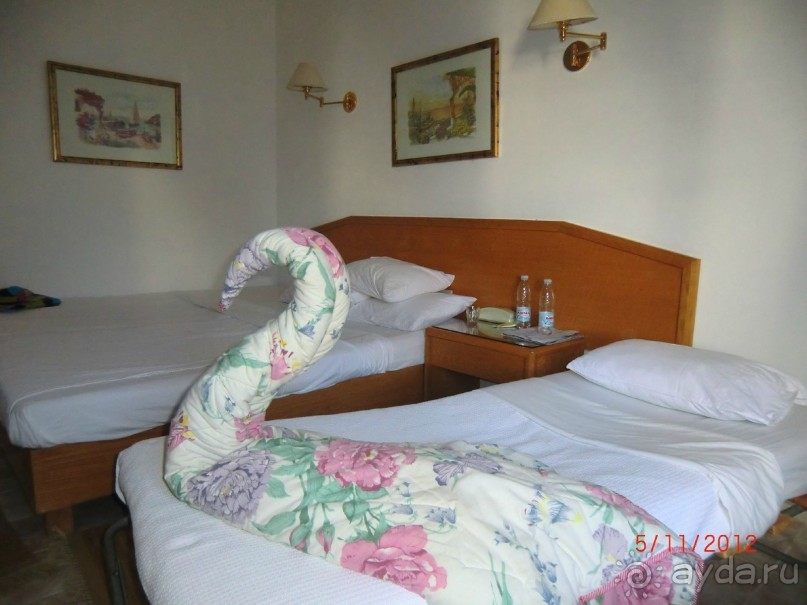 Оазис в пустыне