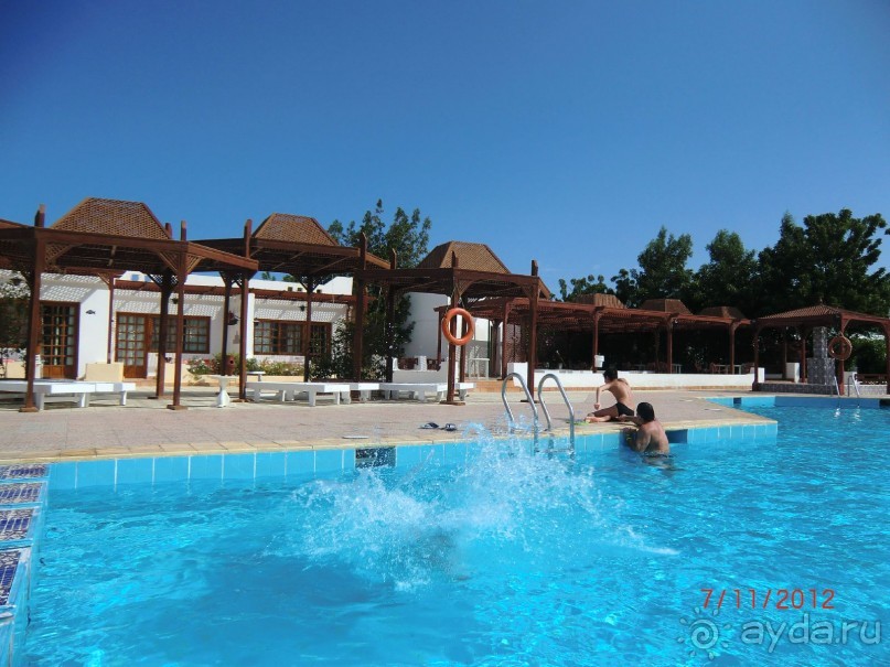 Оазис в пустыне