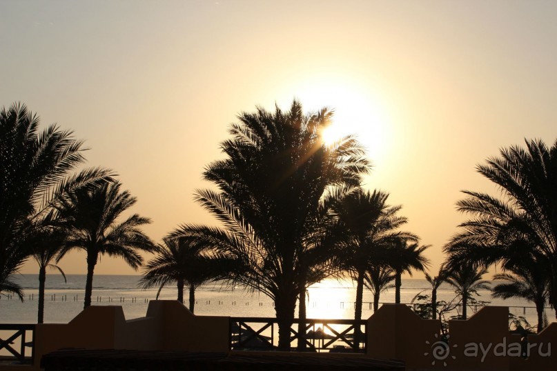 Отель не для детей