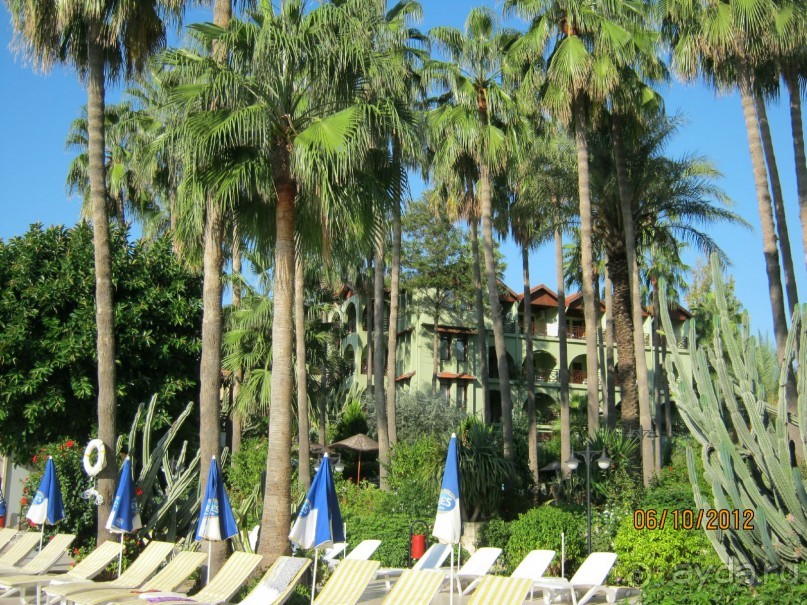 Прекрасный отдых