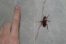 Отель так себе...