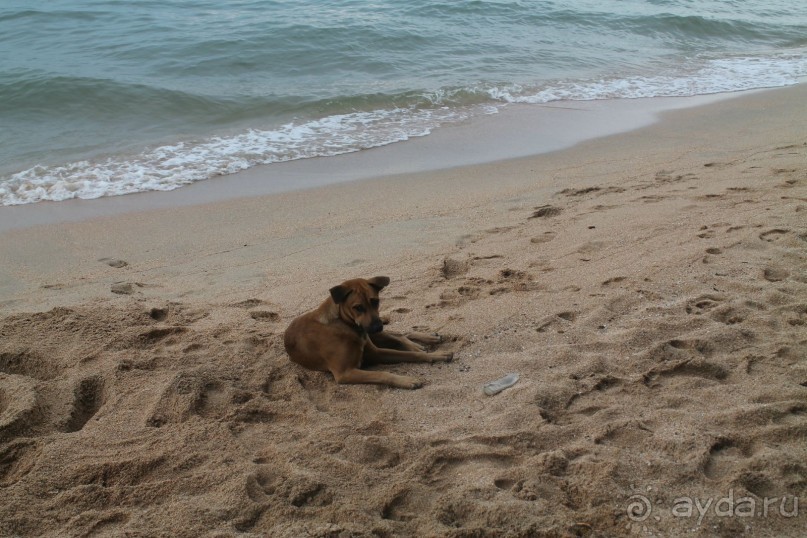 Отель так себе...