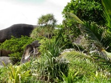 фото Phulin Resort