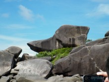 фото Phulin Resort