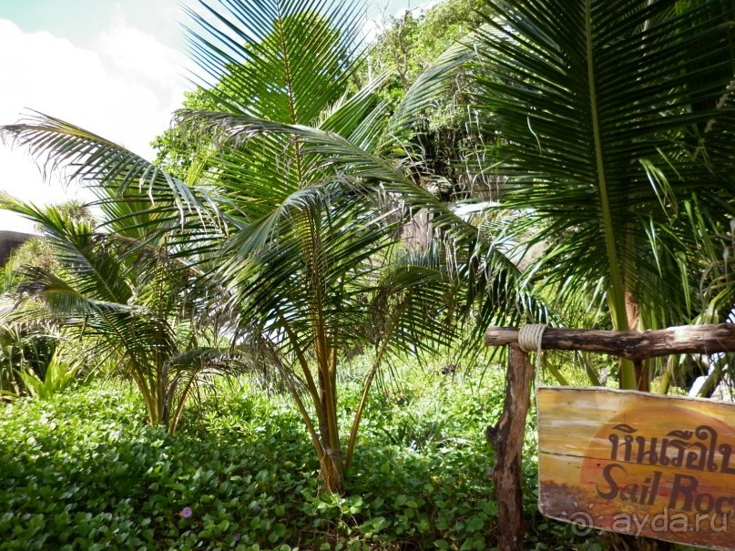 фото Phulin Resort