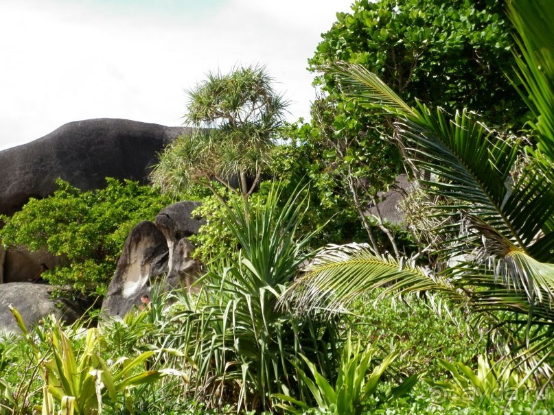 Прочитайте обязательно! Нормальный отель за свою цену.