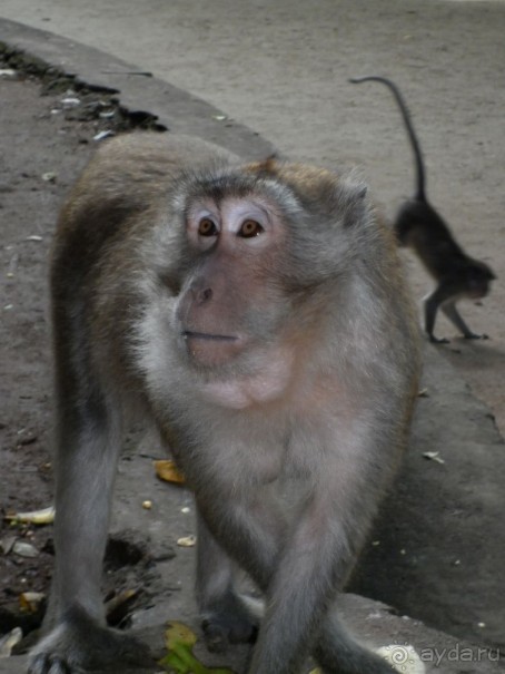 Прочитайте обязательно! Нормальный отель за свою цену.