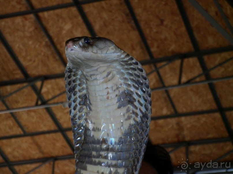 Прочитайте обязательно! Нормальный отель за свою цену.