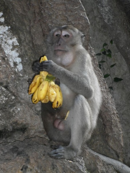 Прочитайте обязательно! Нормальный отель за свою цену.