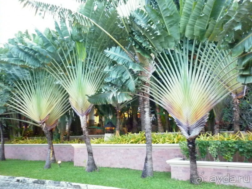 Прочитайте обязательно! Нормальный отель за свою цену.