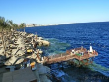 Зелёный рай