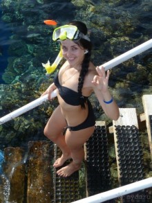 Зелёный рай