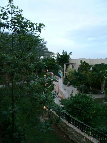 Зелёный рай