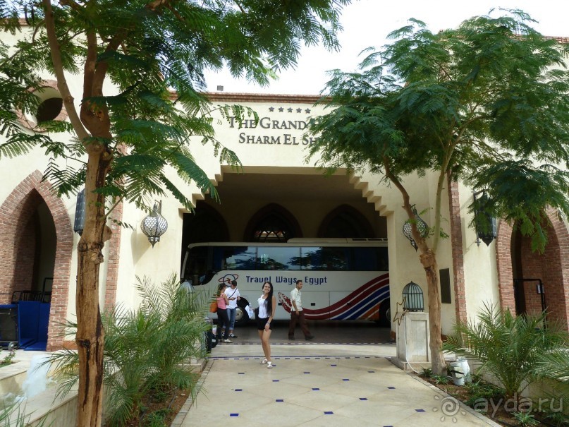 Зелёный рай