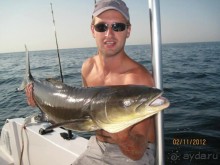 фото Аджмана