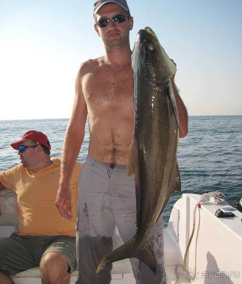 фото Аджмана