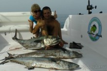 фото Аджмана