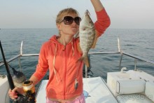 фото Аджмана