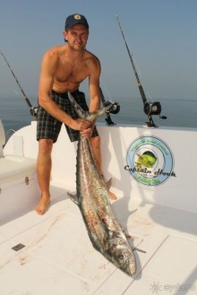 фото Аджмана