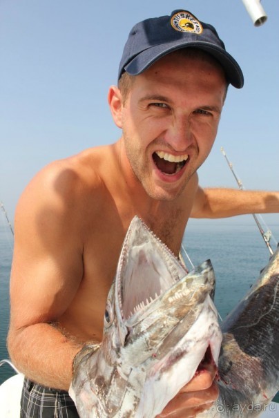 фото Аджмана