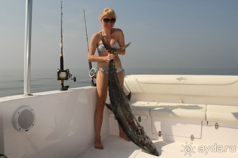 фото Аджмана