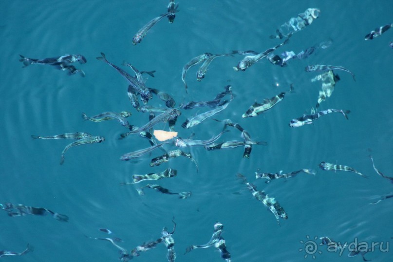 Все в Мармарис Парк!!!!