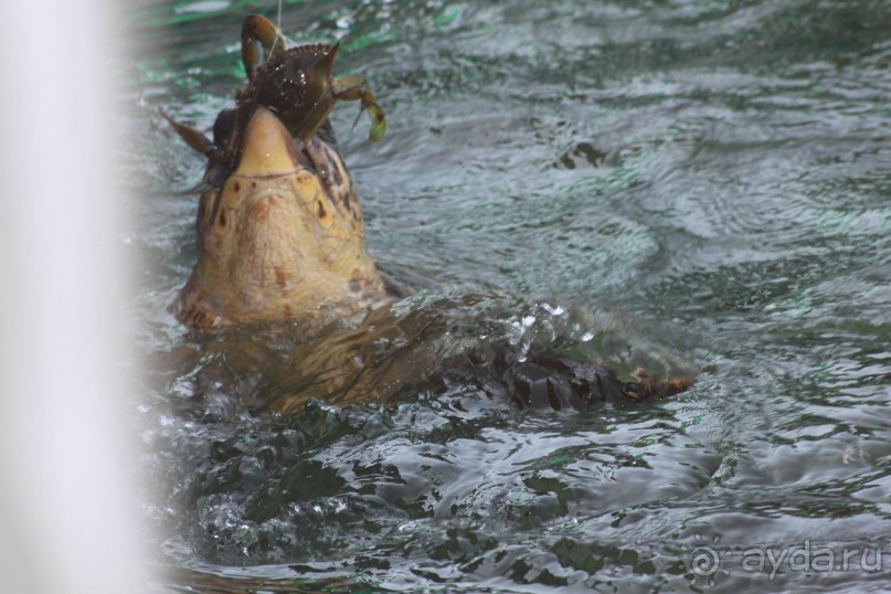 Памуккале обязательно!!!