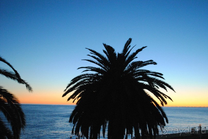 Отличное море, отстойный сервис в полулюксе