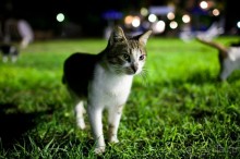 фото Le Meridien