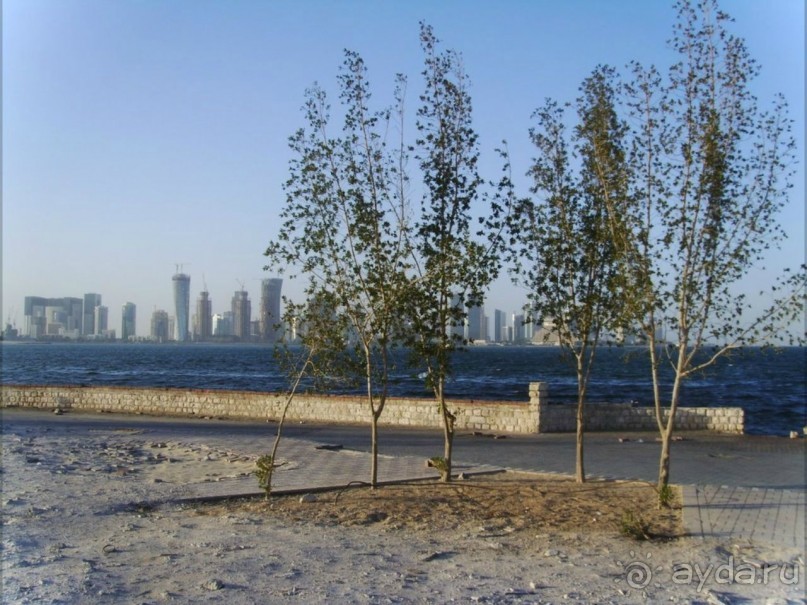 ДОХА (Катар)