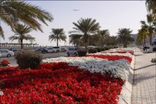 ДОХА (Катар)