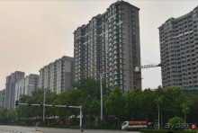 ВЭЙФАН-родина воздушных змеев