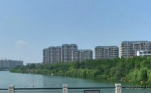 ВЭЙФАН-родина воздушных змеев