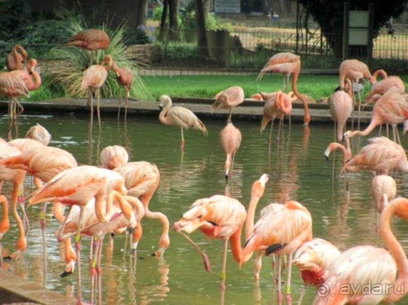 Претория-столица ЮАР