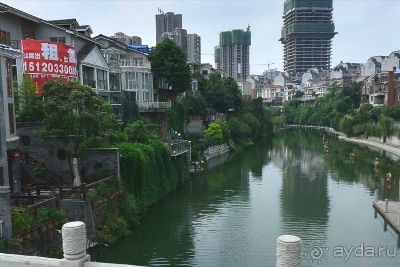 ЦЗУНЬИ-младший брат Гонконга