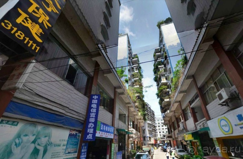 ЦЗУНЬИ-младший брат Гонконга