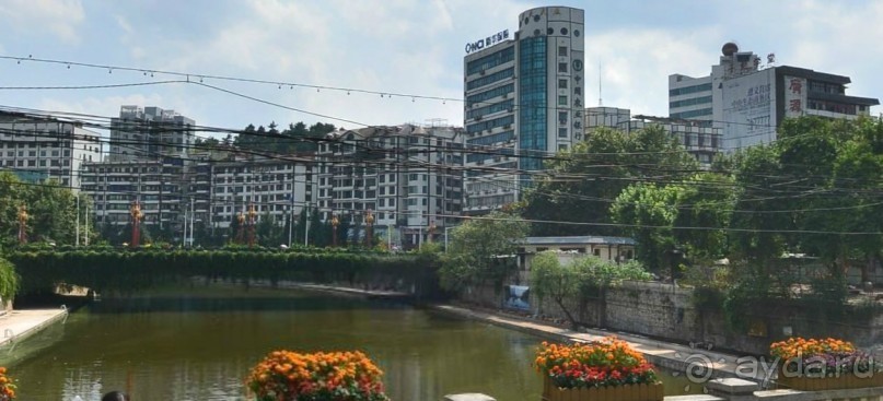 ЦЗУНЬИ-младший брат Гонконга