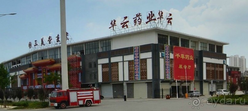 БОЧЖОУ-город гомеопатов