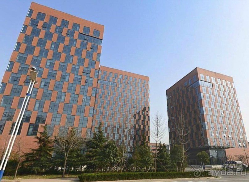 ЛИНЬИ-столица динозавров