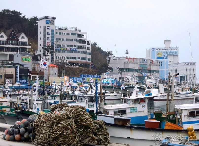 ПУСАН (Южная Корея)