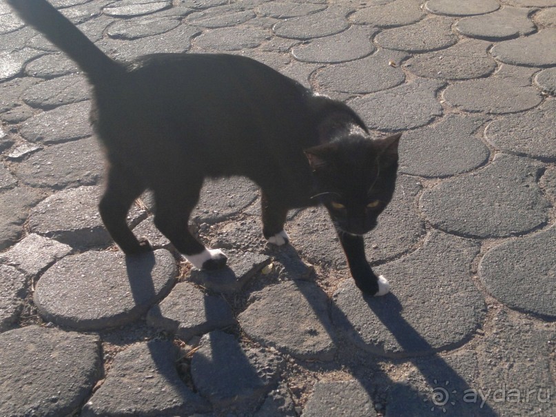 Определитесь сразу,зачем едете,если за красивым морем,то,вероятно,Вам не сюда...