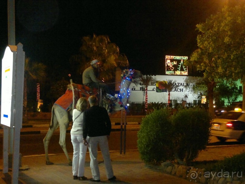 Определитесь сразу,зачем едете,если за красивым морем,то,вероятно,Вам не сюда...