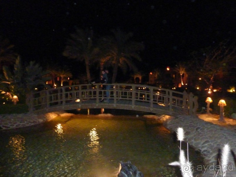 мостик на территории