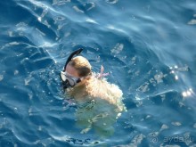 ныряющие у рифа